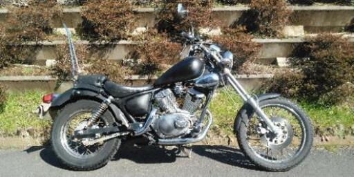 ビラーゴ250　(2)