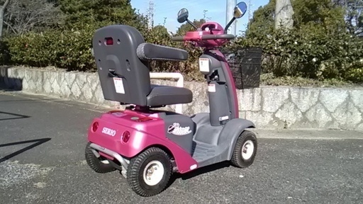 電動カート　遊歩スキップ