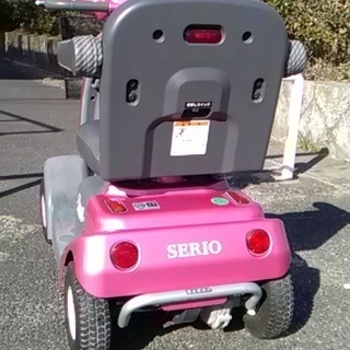 電動カート 遊歩スキップ