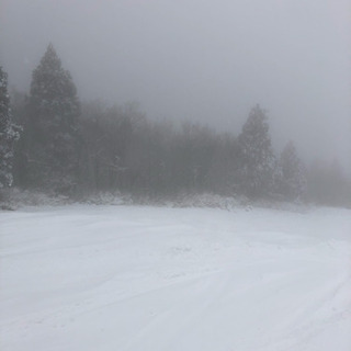 2月18.20スノーボードいきませんか？猫山スキー場