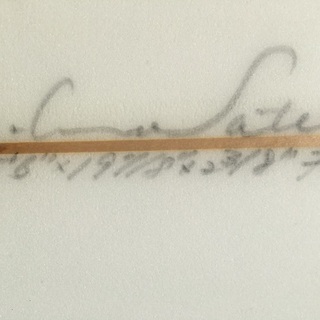 サーフボード　シングルフィン　S Shapes 5’6   Stinger