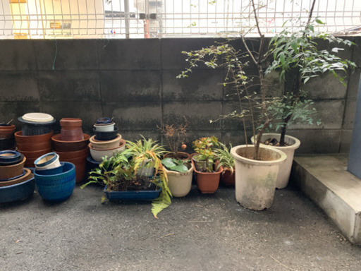 大量の植木鉢 鉢植え コンクリートブロックなどガーデニングに かずひろ 京都のその他の中古あげます 譲ります ジモティーで不用品の処分