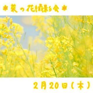 【2/20】＊菜の花撮影会＊【ベビー＆キッズ】