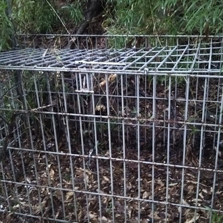 ファーレ旭式（片扉）大型 箱罠（鹿・猪） 在庫2