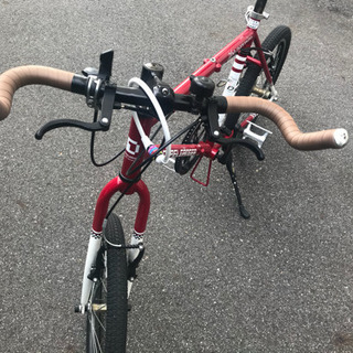 ドッペルギャンガー  パルセイロ 260