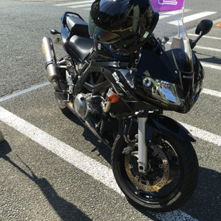 SUZUKI SV1000S