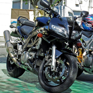 SUZUKI SV1000S