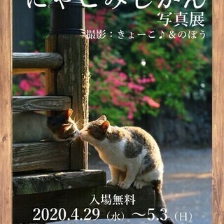 4/29（水）～5/3（日）風景猫写真　にゃごみじかん写真展
