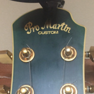 エレアコ ProMatin CUSTAOM EA450 KORG クリップチューナー付き