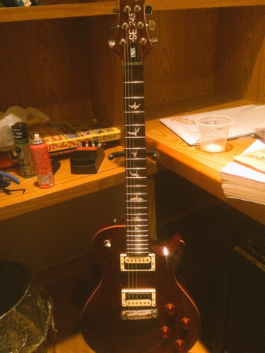 弦楽器、ギター PRS SE245