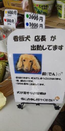02川島釣り堀広告 ｇ 霞ヶ関のその他の無料広告 無料掲載の掲示板 ジモティー