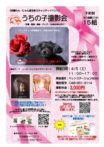 4月5日 日 チャリティイベント うちの子 写真 動画 撮影会 ペットステーションwan Photojoy 関東 ペコアス 三郷のその他のイベント 参加者募集 無料掲載の掲示板 ジモティー