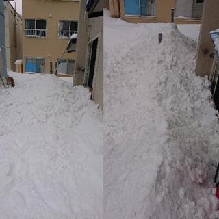 排雪協力会社募集