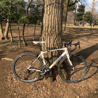 保 チネリCinelli Saetta Radical カーボン ※値下げ交渉可 - bravista