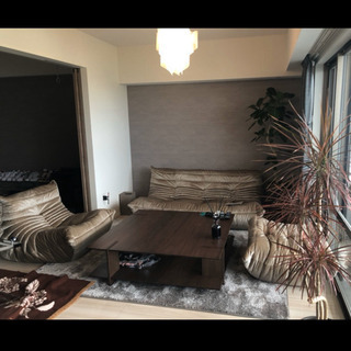 Ligne roset 高級ソファ3点セット