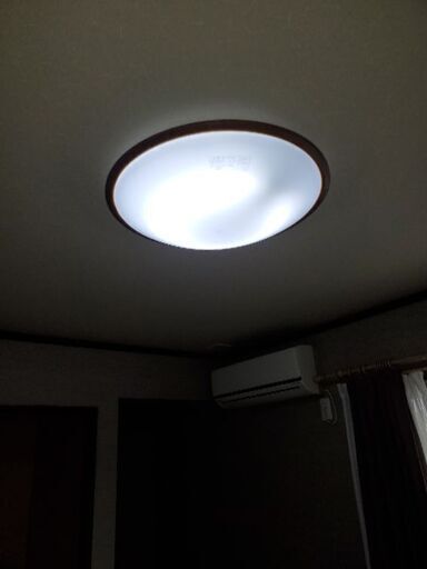 部屋　和室　電気