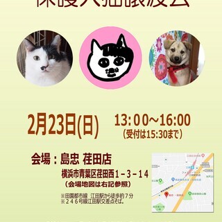 2 23 日 おーあみ避難所里親会 In 島忠 荏田店 おーあみ避難所 江田のその他のイベント参加者募集 無料掲載の掲示板 ジモティー 2 23 日 おーあみ避難所里親会 In 島忠 荏田店 おーあみ避難所 江田のその他のイベント参加者募集 無料掲載の掲示板 ジモティー