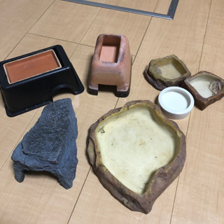 引き取り限定爬虫類飼育セット