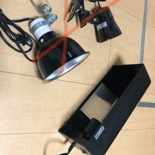 引き取り限定爬虫類飼育セット