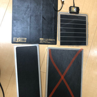 引き取り限定爬虫類飼育セット