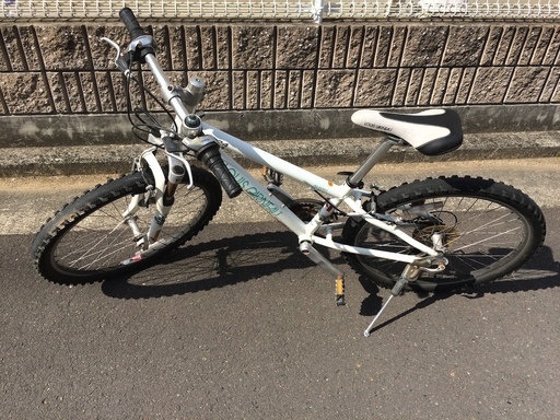 ルイガノLOUIS GARNEAU LGS-J24 （24インチ、MTB、白、児童用）