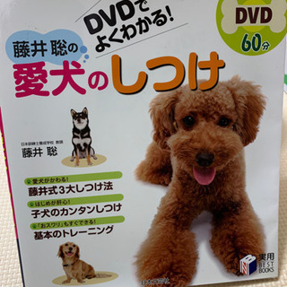 DVD付 愛犬のしつけ 本※購入者決まりました