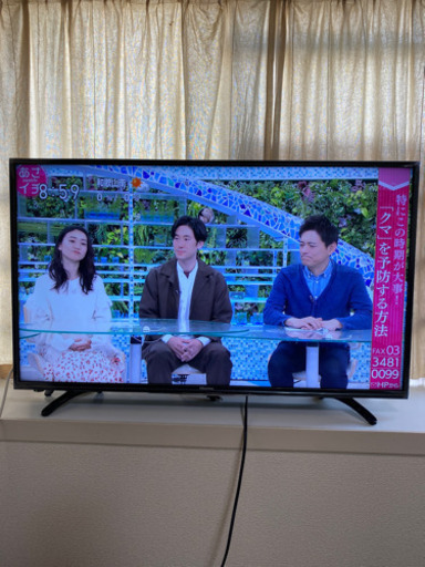 アウトレット直販  HJ43K3120 テレビ　43インチ　HISENSE テレビ