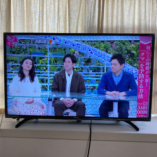 【ハイセンス】LEDハイビジョン液晶テレビ43型　HJ43K31...