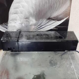 アクリル水槽、キャビネットセット美品