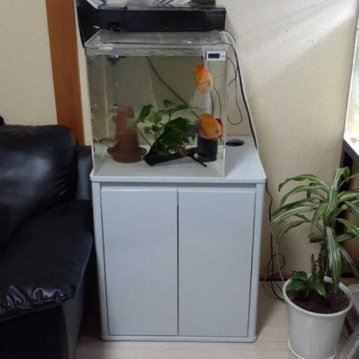 アクリル水槽、キャビネットセット美品