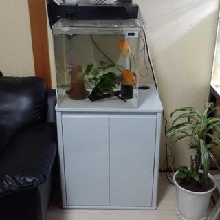 アクリル水槽、キャビネットセット美品