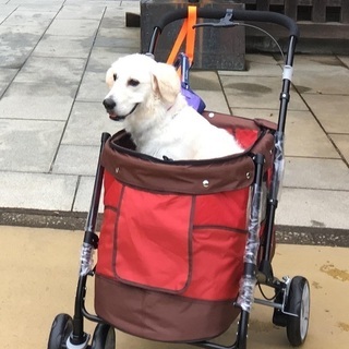 【引取限定】ペットバギーDECA PROGRE（プログレ）　ペットカート