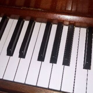 ピアノ 基礎から楽しく始めませんか