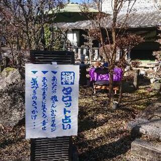禅タロット占いin塚原高原どんぐり茶屋