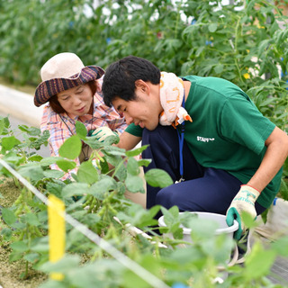 【障がい者求人】農園スタッフ募集中！「わーくはぴねす農園 ちば花...