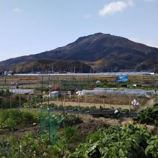 貸農園(市民農園型)現在空き区画無いのですが念のためお問い合わせ...