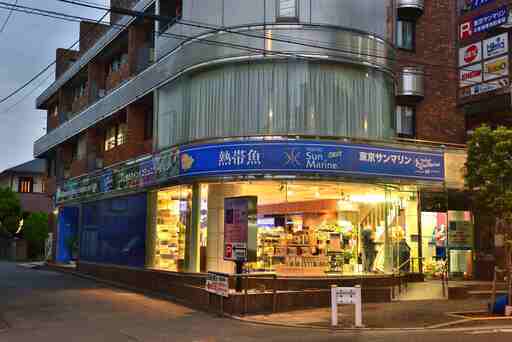 アクアリウム専門ショップでの接客 レジ打ち 熱帯魚の管理 東京サンマリン 小岩の接客の無料求人広告 アルバイト バイト募集情報 ジモティー