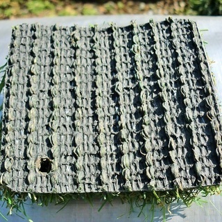 除菌済みロール【新品・未開封】　人工芝　【防炎マーク・遮熱マーク・グリーンピン付き】