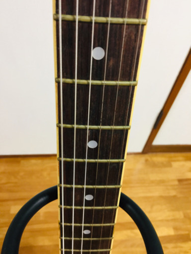 HISTORY】ZSA CHS セミアコギター