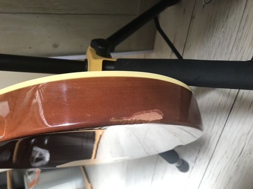Epiphone LesPaul Standard ロゴ入り純正ハードケース 【公式通販】