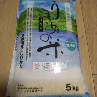 【無洗米  5キロ  特別栽培米  令和２年3月20日精米】