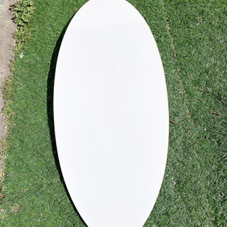 スキムボード ZAP