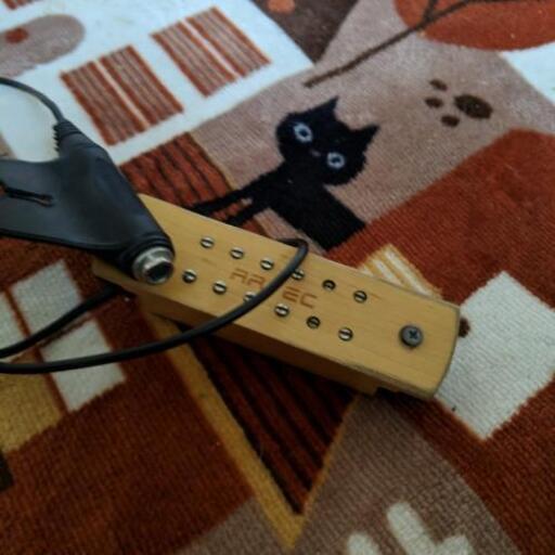 ギター＆ギターケース＆アンプにつなげるようになる線＆ギタースタンド