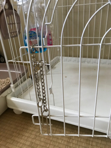 猫ちゃんハウス
