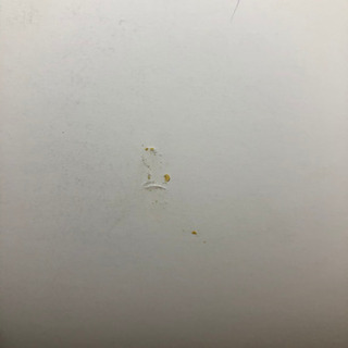 シュプリーム　カレンダー