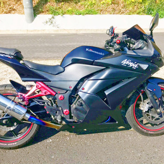 Kawasaki  ninja 250r