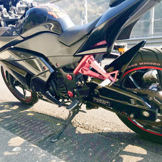 Kawasaki  ninja 250r