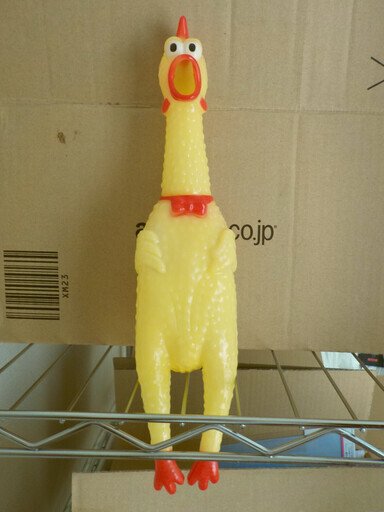 シャウトチキンびっくりチキン ちゃんり 別府のおもちゃ その他 の中古あげます 譲ります ジモティーで不用品の処分