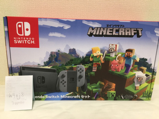 Nintendo Switch  グレー マインクラフト同封限定版