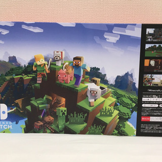 Nintendo Switch  グレー マインクラフト同封限定版